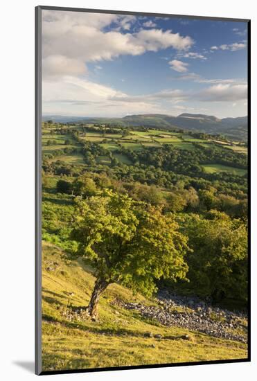 Rolling Countryside Surrounding the Usk Valley, Brecon Beacons National Park, Powys, Wales. Summer-Adam Burton-Mounted Photographic Print