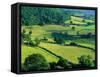 Rolling Countryside-Peter Adams-Framed Stretched Canvas