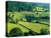 Rolling Countryside-Peter Adams-Stretched Canvas