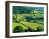 Rolling Countryside-Peter Adams-Framed Premium Photographic Print