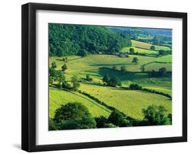 Rolling Countryside-Peter Adams-Framed Premium Photographic Print