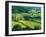 Rolling Countryside-Peter Adams-Framed Premium Photographic Print