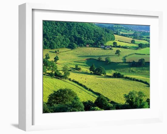 Rolling Countryside-Peter Adams-Framed Premium Photographic Print