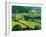 Rolling Countryside-Peter Adams-Framed Premium Photographic Print