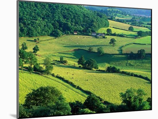 Rolling Countryside-Peter Adams-Mounted Premium Photographic Print