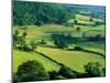 Rolling Countryside-Peter Adams-Mounted Premium Photographic Print