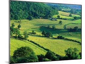 Rolling Countryside-Peter Adams-Mounted Premium Photographic Print