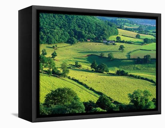 Rolling Countryside-Peter Adams-Framed Stretched Canvas