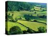 Rolling Countryside-Peter Adams-Stretched Canvas