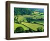 Rolling Countryside-Peter Adams-Framed Photographic Print