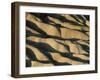 Rolling Desert Hills-Kevin Schafer-Framed Premium Photographic Print