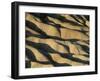 Rolling Desert Hills-Kevin Schafer-Framed Premium Photographic Print