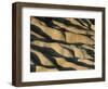 Rolling Desert Hills-Kevin Schafer-Framed Photographic Print