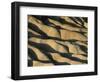 Rolling Desert Hills-Kevin Schafer-Framed Photographic Print