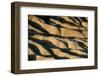 Rolling Desert Hills-Kevin Schafer-Framed Photographic Print