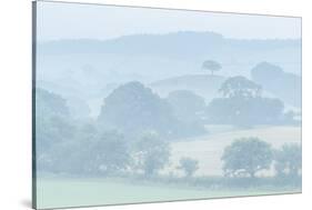 Rolling Devon countryside at dawn on a misty summer morning, Devon, England-Adam Burton-Stretched Canvas