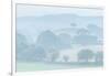 Rolling Devon countryside at dawn on a misty summer morning, Devon, England-Adam Burton-Framed Photographic Print