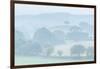 Rolling Devon countryside at dawn on a misty summer morning, Devon, England-Adam Burton-Framed Photographic Print