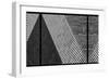Rolling Dice-Paulo Abrantes-Framed Photographic Print