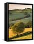 Rolling Farmland in Summertime, Devon, England. Summer-Adam Burton-Framed Stretched Canvas