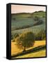 Rolling Farmland in Summertime, Devon, England. Summer-Adam Burton-Framed Stretched Canvas