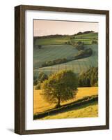 Rolling Farmland in Summertime, Devon, England. Summer-Adam Burton-Framed Photographic Print