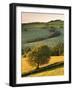 Rolling Farmland in Summertime, Devon, England. Summer-Adam Burton-Framed Photographic Print