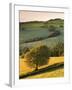 Rolling Farmland in Summertime, Devon, England. Summer-Adam Burton-Framed Photographic Print