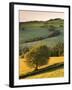 Rolling Farmland in Summertime, Devon, England. Summer-Adam Burton-Framed Photographic Print