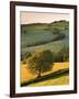 Rolling Farmland in Summertime, Devon, England. Summer-Adam Burton-Framed Photographic Print