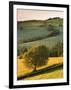 Rolling Farmland in Summertime, Devon, England. Summer-Adam Burton-Framed Photographic Print