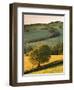 Rolling Farmland in Summertime, Devon, England. Summer-Adam Burton-Framed Photographic Print