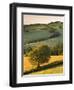 Rolling Farmland in Summertime, Devon, England. Summer-Adam Burton-Framed Photographic Print