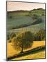 Rolling Farmland in Summertime, Devon, England. Summer-Adam Burton-Mounted Photographic Print