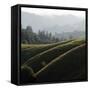 Rolling Fog and Rolling Hills-Lance Kuehne-Framed Stretched Canvas