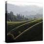 Rolling Fog and Rolling Hills-Lance Kuehne-Stretched Canvas