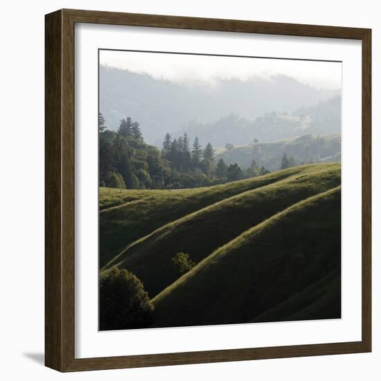 Rolling Fog and Rolling Hills-Lance Kuehne-Framed Photographic Print