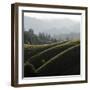 Rolling Fog and Rolling Hills-Lance Kuehne-Framed Photographic Print