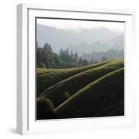 Rolling Fog and Rolling Hills-Lance Kuehne-Framed Photographic Print