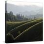 Rolling Fog and Rolling Hills-Lance Kuehne-Stretched Canvas