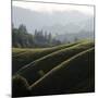 Rolling Fog and Rolling Hills-Lance Kuehne-Mounted Photographic Print