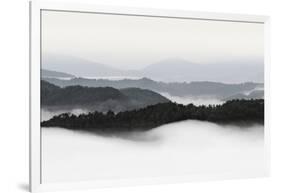 Rolling Fog, Smoky Mountains No. 2-Nicholas Bell-Framed Photographic Print