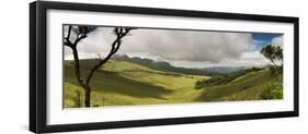 Rolling grass covered hills of the Wolkberg, Tzaneen, Limpopo Province, South Africa-null-Framed Photographic Print