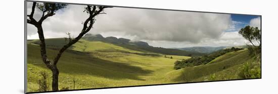 Rolling grass covered hills of the Wolkberg, Tzaneen, Limpopo Province, South Africa-null-Mounted Photographic Print