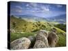 Rolling Green Hills of Central California No.2-Ian Shive-Stretched Canvas