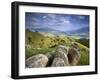 Rolling Green Hills of Central California No.2-Ian Shive-Framed Photographic Print