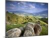 Rolling Green Hills of Central California No.2-Ian Shive-Mounted Photographic Print