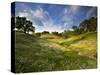 Rolling Green Hills of Central California No.3-Ian Shive-Stretched Canvas