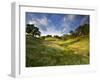 Rolling Green Hills of Central California No.3-Ian Shive-Framed Photographic Print