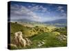 Rolling Green Hills of Central California No.4-Ian Shive-Stretched Canvas